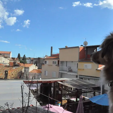 Vandrerhjem Riva